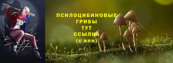 MDMA Карпинск