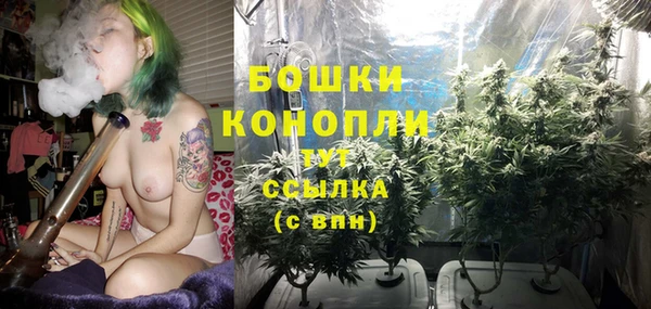 кокс Каменка