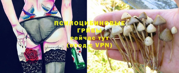 jwh Касимов