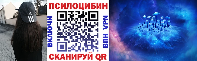 Псилоцибиновые грибы Psilocybine cubensis  Ковдор 